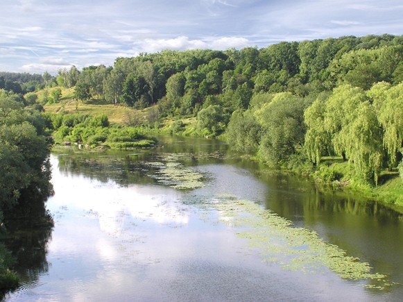 Image -- The Sluch River near Novohrad-Volynskyi.