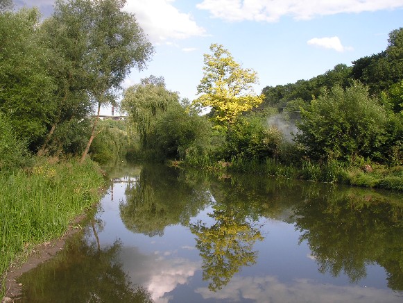 Image -- A view of the Smotrych River.