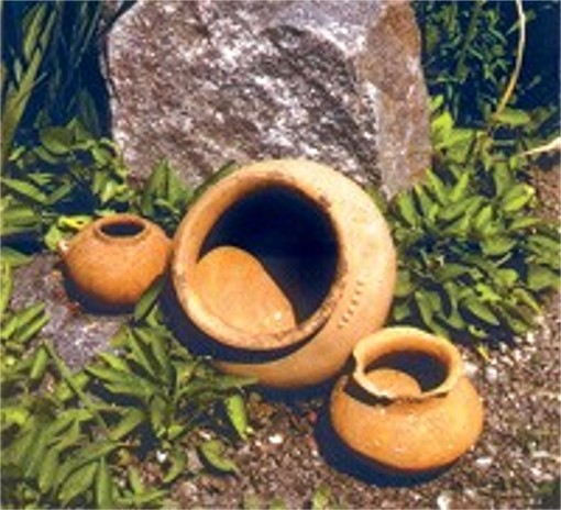 Image -- Pit-Grave culture artefacts found at Storozhova Mohyla near Dnipropetrovsk.