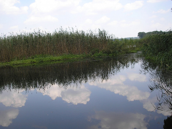 Image -- The Sukhyi Torets River near Perelesne, Donetsk oblast.