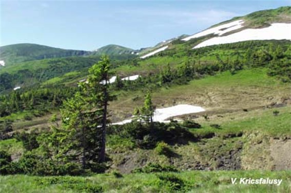 Image -- A glacial pothole on the slopes of Mount Blyznytsia in the Svydivets mountain group.
