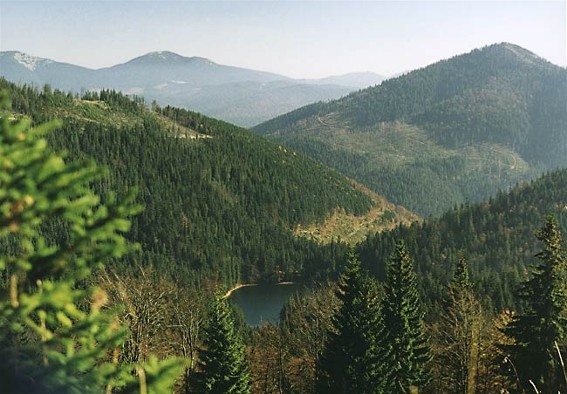Image -- Panorama of the Synevyr Lake from Mount Ozerna in the Gorgany Mountains (Carpathians).