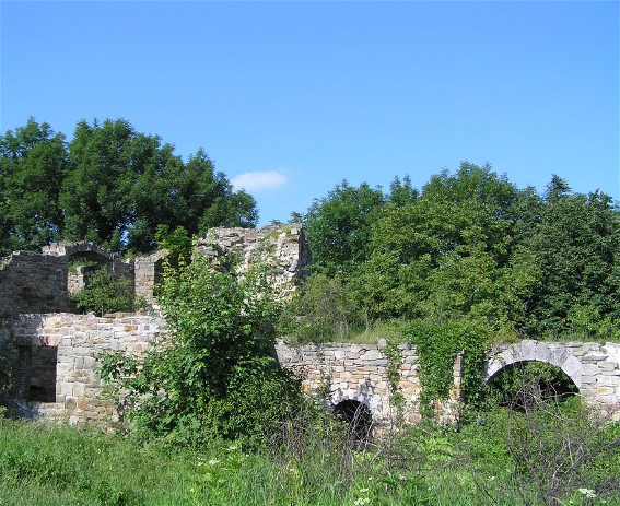 Image -- Ruins of the Terebovlia castle, Ternopil oblast.
