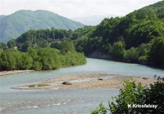 Image -- The Teresva River flowing through the Volcanic Ukrainian Carpathians.
