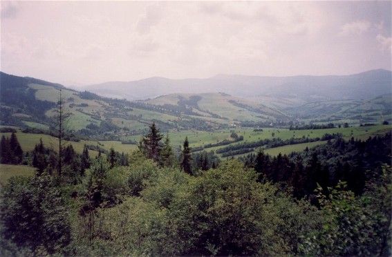 Image -- Transcarpathian landscape near Svaliava.