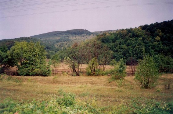 Image -- Transcarpathian landscape near Uzhhorod.