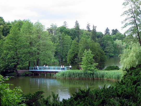 Image -- A bridge on the Great Pond in the Trostianets Dendrological Park.