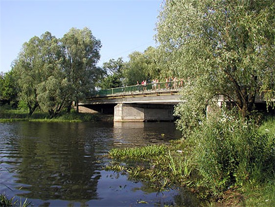 Image -- A bridge on the Udai River in Pryluka.