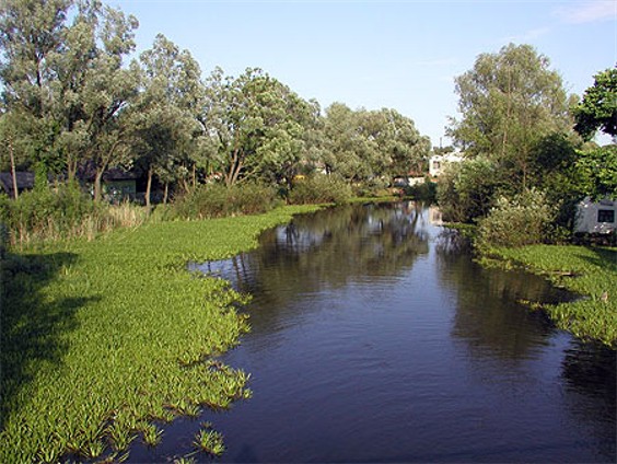 Image -- Udai River in the vicinity of Pryluka.