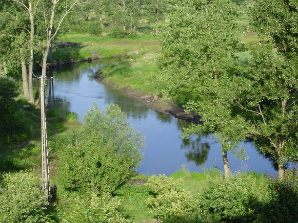 Image -- The Vepr (Wieprz) River near Krasnystaw.