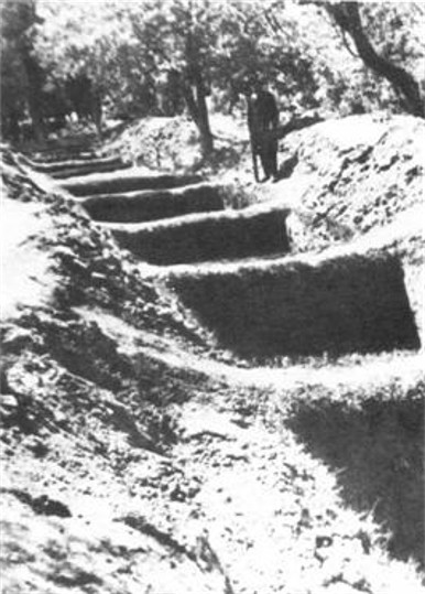 Image -- Emptied mass graved of the Vinnytsia massacre victims.