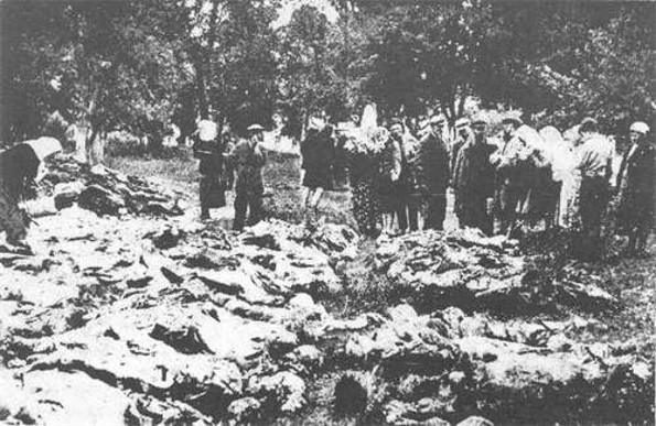 Image -- Relatives identify exhumed victims of the Vinnytsia massacre.