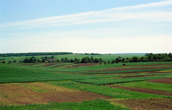 Image -- Volhynian landscape.