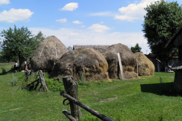 Image -- A Volhynian village.