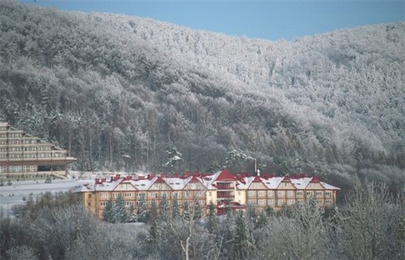 Image -- Sanatoriums in Vysowa (Wysowa).