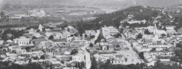 Image -- Panorama of Zalishchyky during the interwar period.