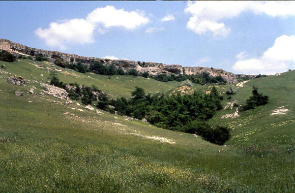 Image -- The Zaskelna VI archeological excavation site, Crimea.