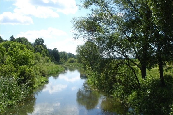 Image -- The Zdvyzh River