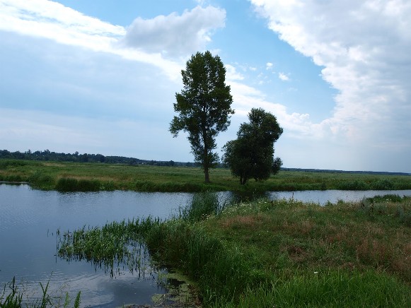 Image -- The Zdvyzh River